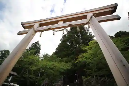 戸隠神社中社の鳥居