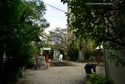 秋葉神社(東京都)