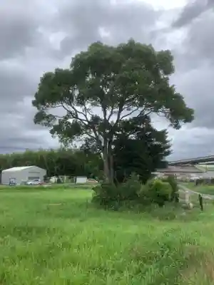 牛頭天王塚の自然