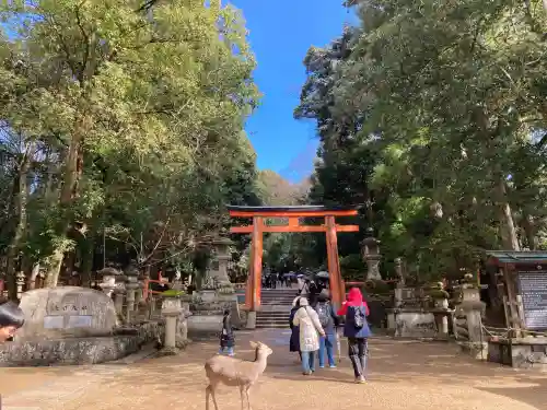 春日大社の{uncategorized: "未分類", other: "その他", undefined: "問題あり", building: "その他建物", grave: "お墓", sacred_gate: "鳥居", guardian: "狛犬", statue: "像", buddha: "仏像", history: "歴史", nature: "自然", garden: "庭園", animal: "動物", pagoda: "塔", temizu: "手水舎", mountain_gate: "山門・神門", sanctuary: "本殿・本堂", subordinate: "末社・摂社", art: "芸術", scenery: "景色", jizo: "地蔵", ema: "絵馬", goshuin: "御朱印", omikuji: "おみくじ", items: "授与品その他", amulet: "お守り", goshuincho: "御朱印帳", eats: "食事", festival: "お祭り", votive_dance: "神楽", shichigosan: "七五三参", wedding: "結婚式", experience: "体験その他", initially: "初詣", around: "周辺", anti_infection: "感染症対策"}
