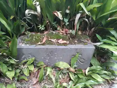 円山随身稲荷大明神の手水舎