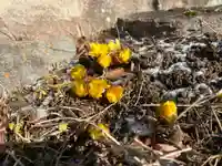 国宝 大法寺の自然