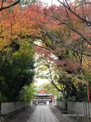 向日神社のその他建物
