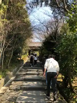 高台寺（高台寿聖禅寺・高臺寺）(京都府)