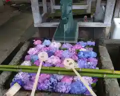 藤森神社(京都府)