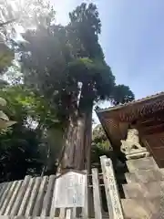 伊富岐神社(岐阜県)