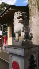 須賀神社の狛犬