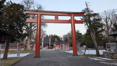 北海道護國神社の鳥居