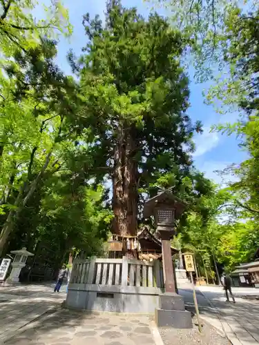 諏訪大社下社秋宮(長野県)