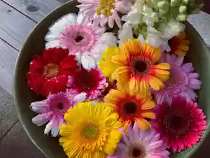 滑川神社 - 仕事と子どもの守り神の手水舎(2022年04月12日(火) 20時30分24秒投稿)