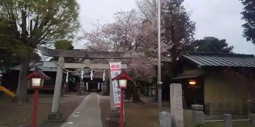 鶴峯八幡宮の鳥居