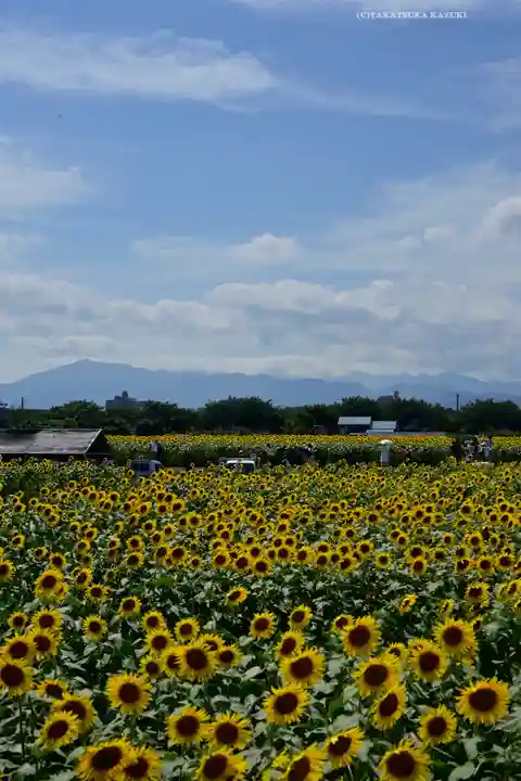 諏訪明神(神奈川県)