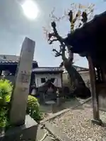 波切不動明王のその他建物