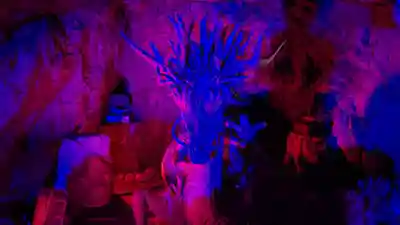 江の島岩屋の像