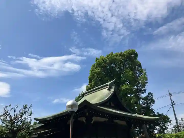 喜多見氷川神社の{uncategorized: "未分類", other: "その他", undefined: "問題あり", building: "その他建物", grave: "お墓", sacred_gate: "鳥居", guardian: "狛犬", statue: "像", buddha: "仏像", history: "歴史", nature: "自然", garden: "庭園", animal: "動物", pagoda: "塔", temizu: "手水舎", mountain_gate: "山門・神門", sanctuary: "本殿・本堂", subordinate: "末社・摂社", art: "芸術", scenery: "景色", jizo: "地蔵", ema: "絵馬", goshuin: "御朱印", omikuji: "おみくじ", items: "授与品その他", amulet: "お守り", goshuincho: "御朱印帳", eats: "食事", festival: "お祭り", votive_dance: "神楽", shichigosan: "七五三参", wedding: "結婚式", experience: "体験その他", initially: "初詣", around: "周辺", anti_infection: "感染症対策"}