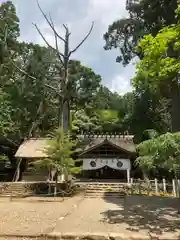 元伊勢内宮 皇大神社の本殿