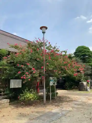 総願寺(埼玉県)
