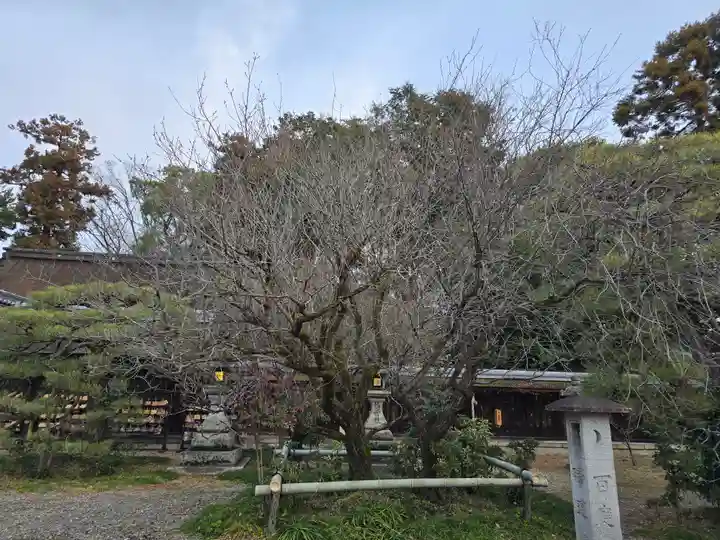 梅宮大社(京都府)