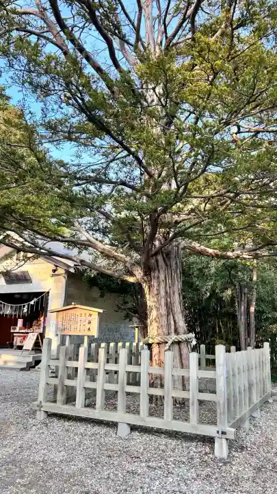 湯倉神社(北海道)