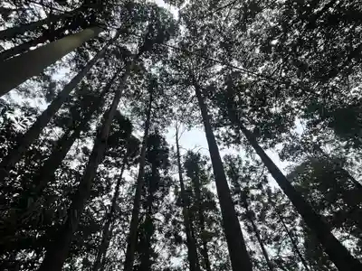 猿田神社(千葉県)