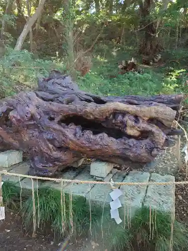 泉神社(茨城県)