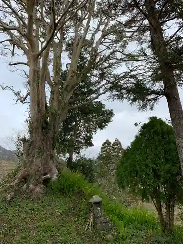 八雲神社の末社