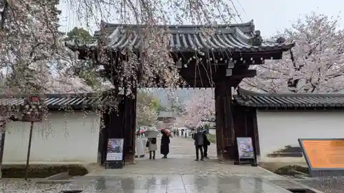 醍醐寺(京都府)