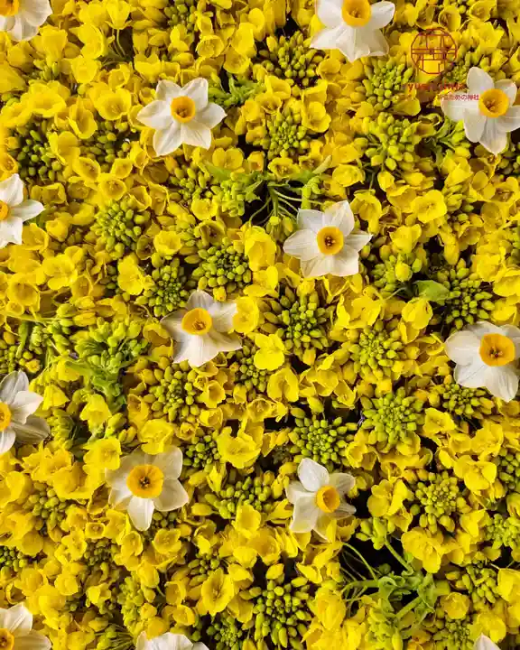 立志神社(滋賀県)