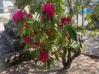 木舟山 順教寺(広島県)