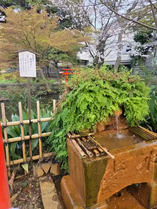 瀧泉寺(目黒不動尊)の{uncategorized: "未分類", other: "その他", undefined: "問題あり", building: "その他建物", grave: "お墓", sacred_gate: "鳥居", guardian: "狛犬", statue: "像", buddha: "仏像", history: "歴史", nature: "自然", garden: "庭園", animal: "動物", pagoda: "塔", temizu: "手水舎", mountain_gate: "山門・神門", sanctuary: "本殿・本堂", subordinate: "末社・摂社", art: "芸術", scenery: "景色", jizo: "地蔵", ema: "絵馬", goshuin: "御朱印", omikuji: "おみくじ", items: "授与品その他", amulet: "お守り", goshuincho: "御朱印帳", eats: "食事", festival: "お祭り", votive_dance: "神楽", shichigosan: "七五三参", wedding: "結婚式", experience: "体験その他", initially: "初詣", around: "周辺", anti_infection: "感染症対策"}