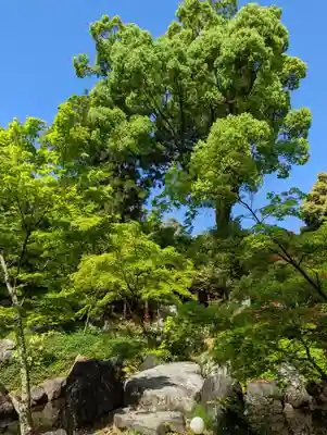 長岡天満宮(京都府)