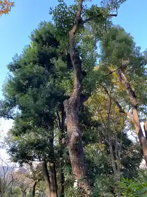 布多天神社(東京都)