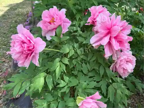 園城寺（三井寺）(滋賀県)