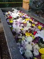 下野 星宮神社の手水舎