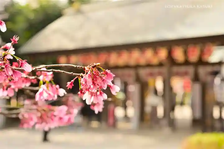 櫻木神社の自然