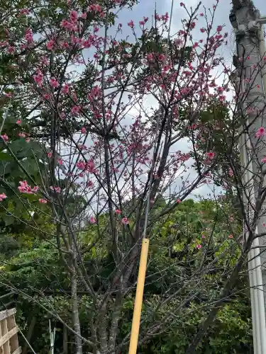 沖縄県護国神社の{uncategorized: "未分類", other: "その他", undefined: "問題あり", building: "その他建物", grave: "お墓", sacred_gate: "鳥居", guardian: "狛犬", statue: "像", buddha: "仏像", history: "歴史", nature: "自然", garden: "庭園", animal: "動物", pagoda: "塔", temizu: "手水舎", mountain_gate: "山門・神門", sanctuary: "本殿・本堂", subordinate: "末社・摂社", art: "芸術", scenery: "景色", jizo: "地蔵", ema: "絵馬", goshuin: "御朱印", omikuji: "おみくじ", items: "授与品その他", amulet: "お守り", goshuincho: "御朱印帳", eats: "食事", festival: "お祭り", votive_dance: "神楽", shichigosan: "七五三参", wedding: "結婚式", experience: "体験その他", initially: "初詣", around: "周辺", anti_infection: "感染症対策"}