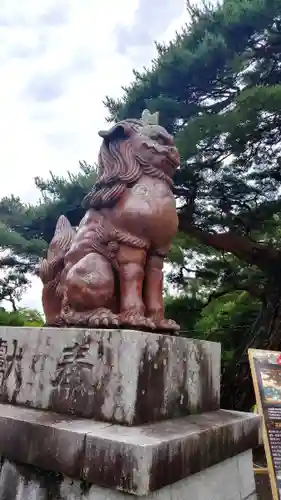 白山神社の狛犬