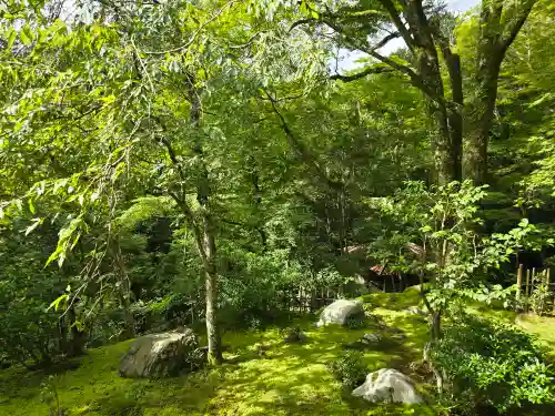 高山寺(京都府)