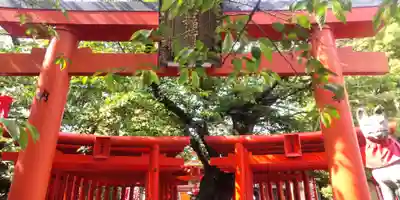 宗像神社(愛知県)