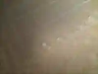 走湯神社(静岡県)