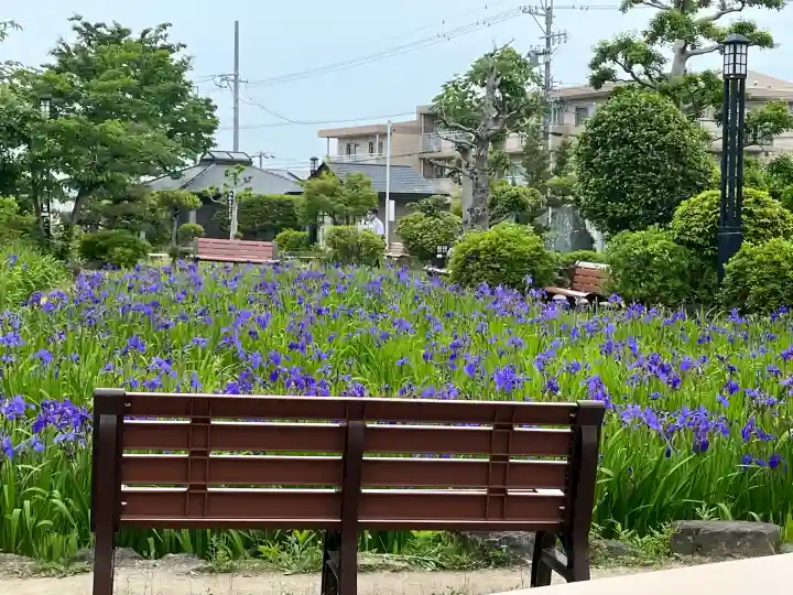 無量寿寺(愛知県)