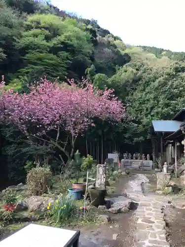 茶湯寺(神奈川県)