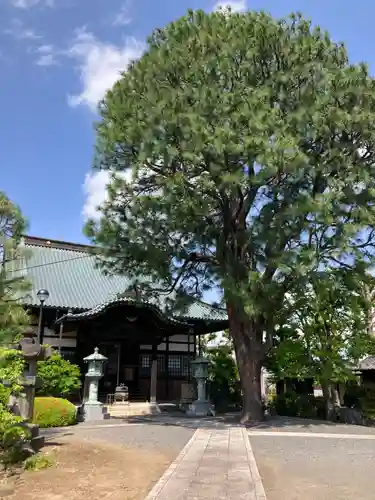 普明寺(東京都)