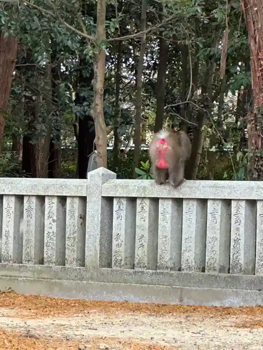 大麻比古神社の動物