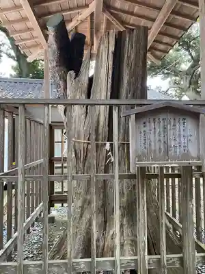 泉神社(茨城県)