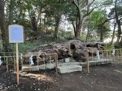 泉神社のその他建物