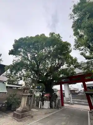 石津神社(大阪府)