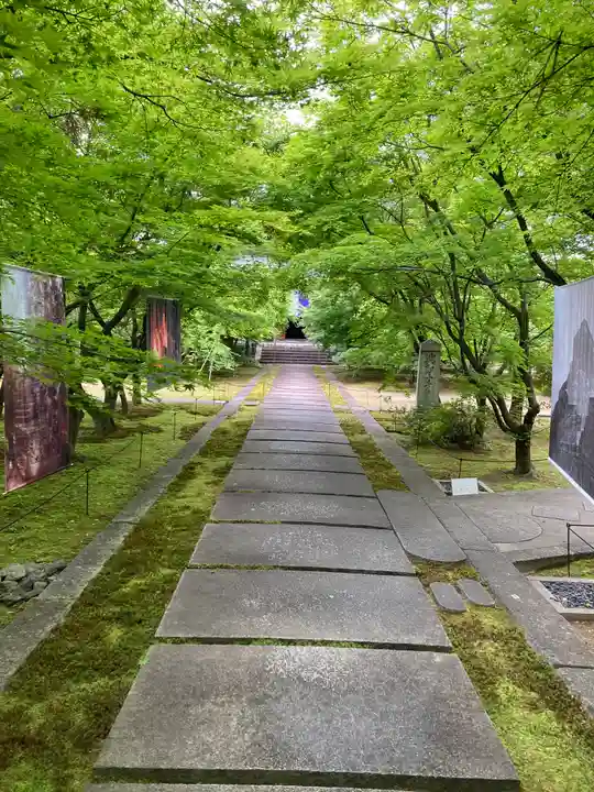 興聖寺(京都府)