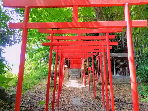 稲荷社（井堀）の鳥居