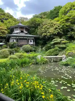 光明寺(神奈川県)